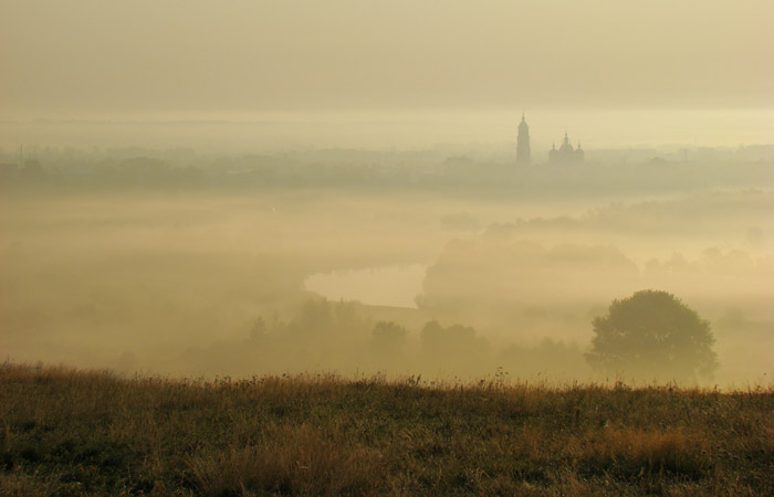 И тишина - тишина летнего утра, росы, тумана. Фото А.Куклина